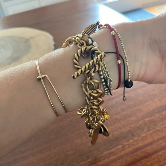 Alex and Ani vintage 66 exclusive charm bracelet! - Picture 3 of 5